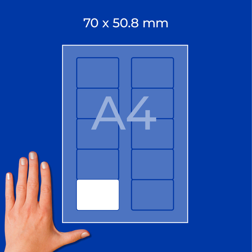 Etiketten für Disketten, 70x50,8mm, 250 Stück, weiß AVERY ZWECKFORM L4738REV-25 ZWECKFORM L4738REV-25 weiß