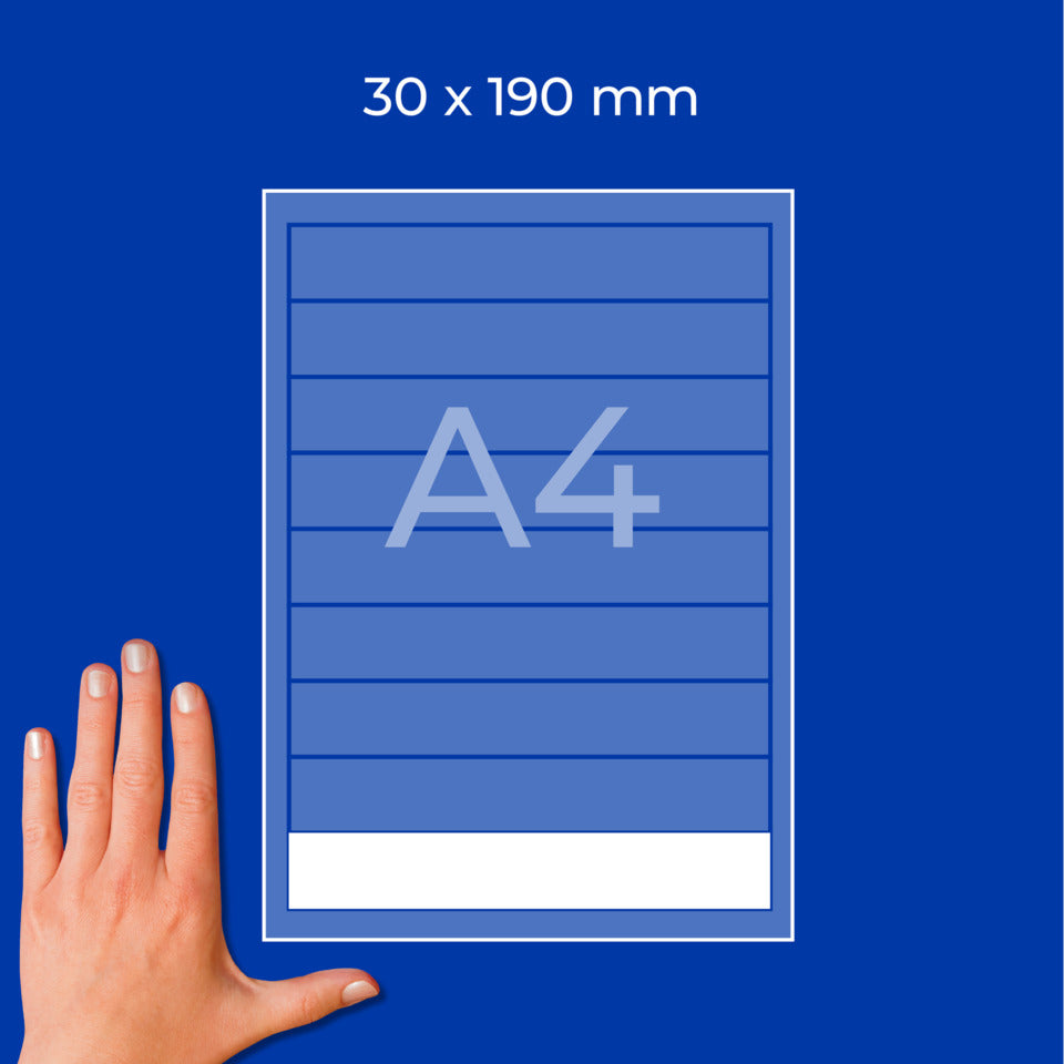 Ordnerrücken-Einsteckschild, 30 x 190 mm, schmal/kurz, 225 Stück, weiß AVERY ZWECKFORM C32266-25 ZWECKFORM C3226625 PG25BL