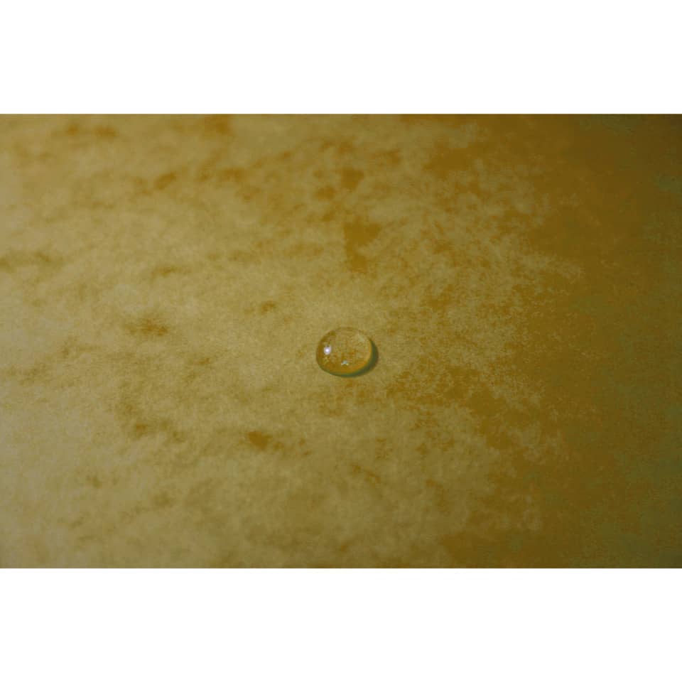 Sammelmappe, A4, 355g/m², Colorspan, gelb EXACOMPTA 555419E EXACOMPTA 555419E Colorspan