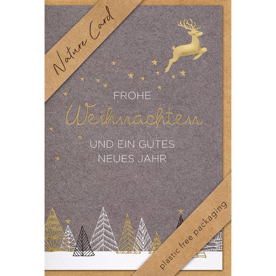 D.T. Weihnachtskarte - Nature Card, inkl. Umschlag BSB 22-6913-2 BSB 22-6913-2 Nature Card Bild