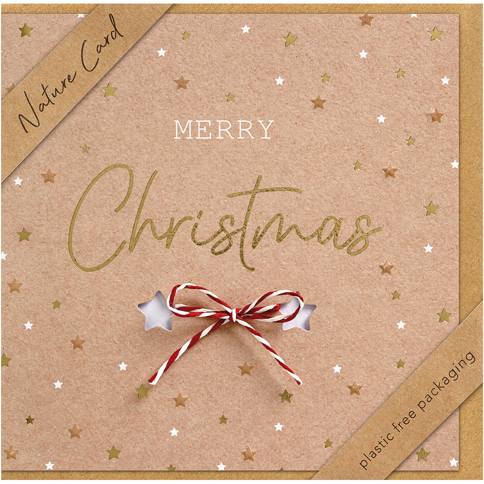 Weihnachtskarte - Nature Card, inkl. Umschlag BSB 22-6919-2 BSB 22-6919-2 Nature Card  Bild