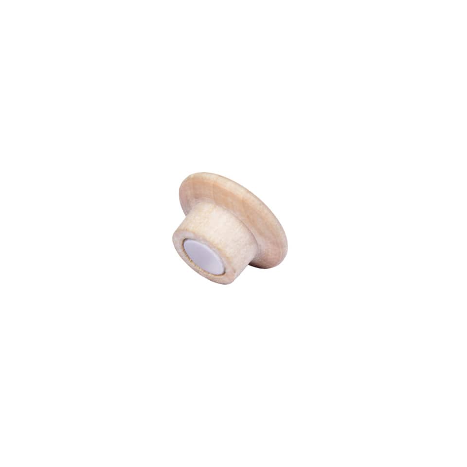 Magnet Wooden, Ø25mm, 5 Stück, braun LEGAMASTER 7-181725 LEGAMASTER 181725 WOODEN