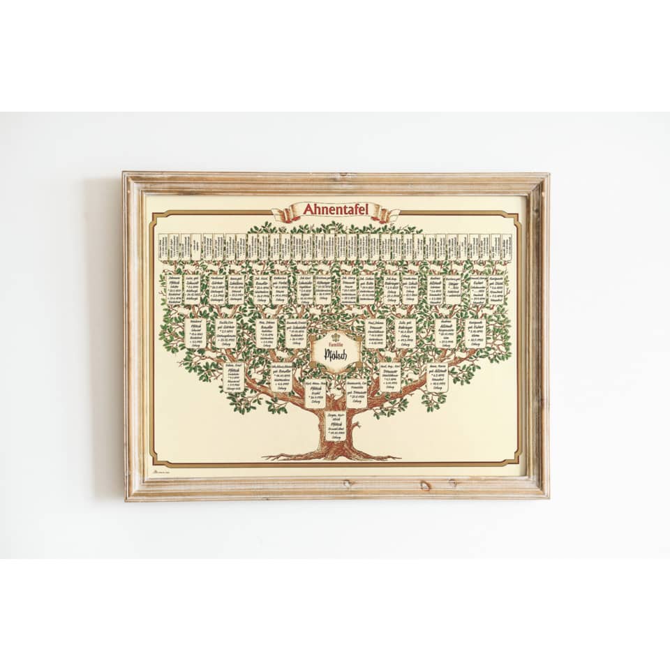 Ahnentafel 1-63 - 6 Generationen, 70 x 50 cm RNK 2808