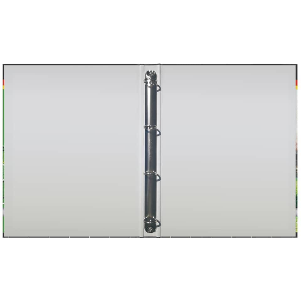 Zeugnisringbuch "Fußballfieber", 4 Ring-Mechanik, DIN A4, 250 x 315 mm RNK 46782 RNK 46782  4R/20mm