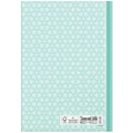 Notizbuch "Mint", A5, 96 Blatt, kariert RNK 46801