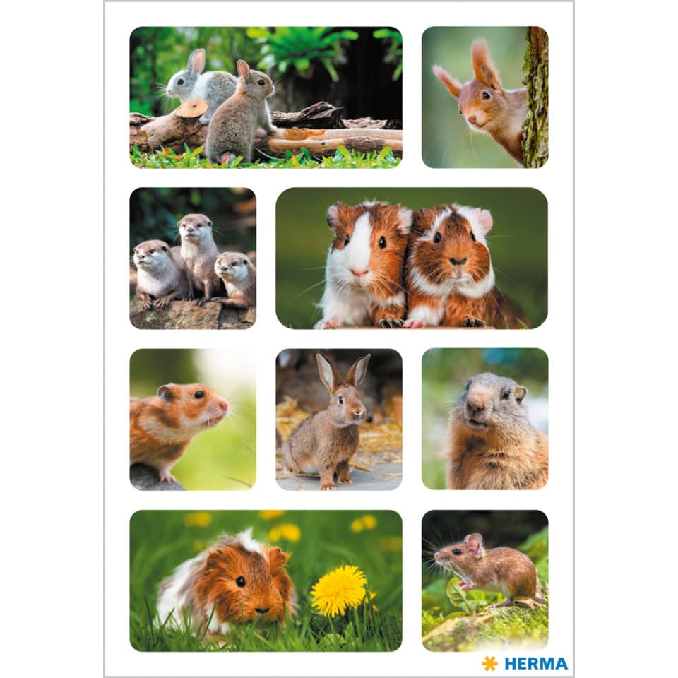 Sticker Nagetiere, 27 Stück HERMA 15699 HERMA 15699  DECOR