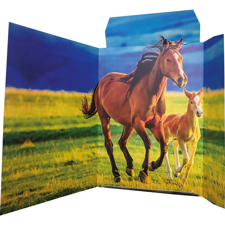 Zeichenmappe Free Horses, 310 x 440mm, A3, Karton RNK 45353 RNK 45353 310x440mm