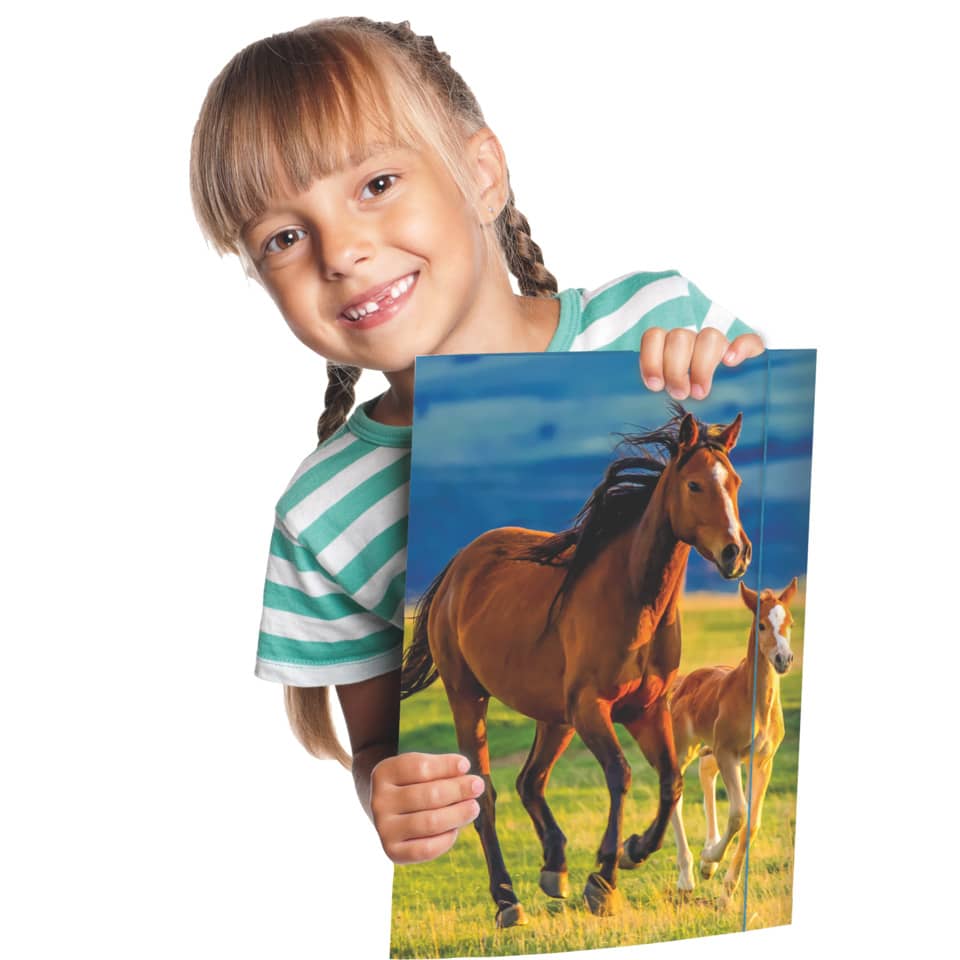 Zeichenmappe Free Horses, 310 x 440mm, A3, Karton RNK 45353 RNK 45353 310x440mm