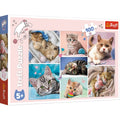Puzzle Katzenwelt, 100 Teile TREFL 16420 TREFL 16420 100 Teile
