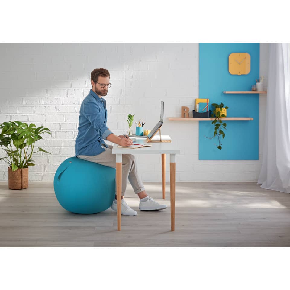 Sitzball Ergo Cosy, Ø 65 cm, blau LEITZ 5279-00-61 LEITZ 5279-00-61 Ergo