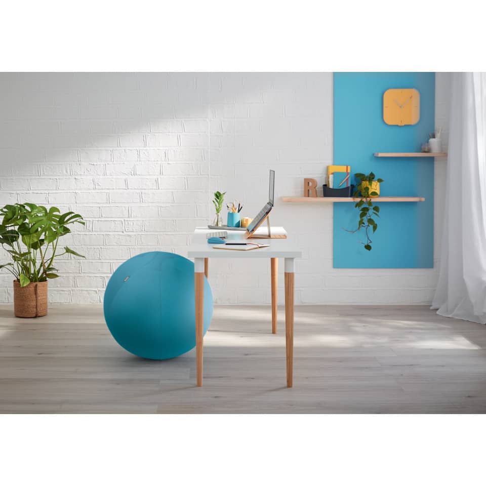 Sitzball Ergo Cosy, Ø 65 cm, blau LEITZ 5279-00-61 LEITZ 5279-00-61 Ergo