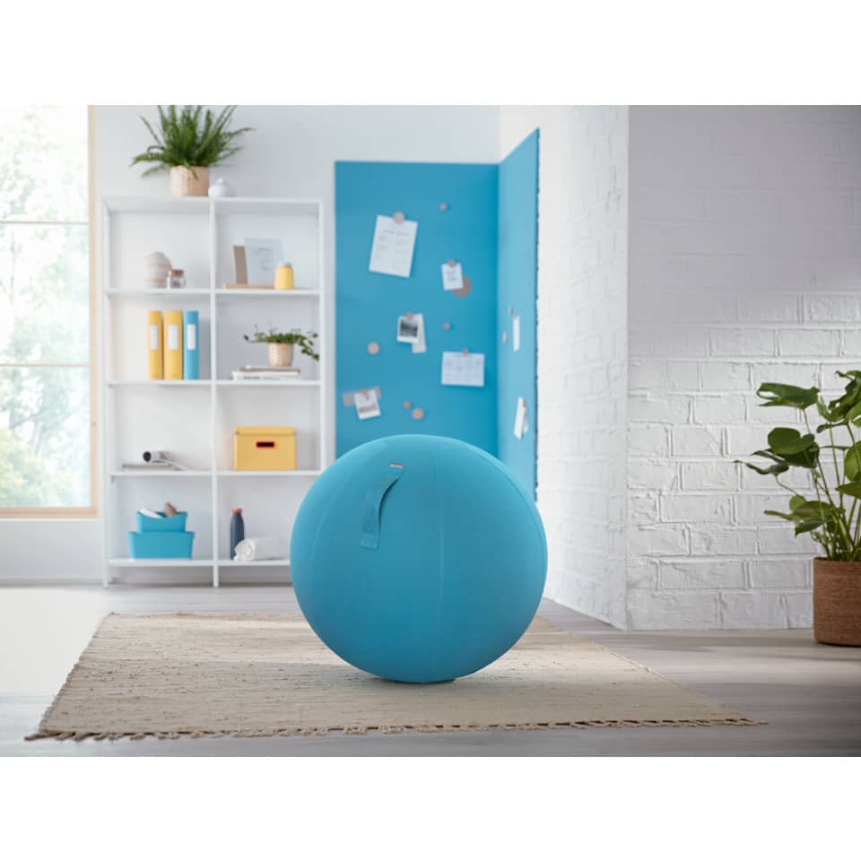 Sitzball Ergo Cosy, Ø 65 cm, blau LEITZ 5279-00-61 LEITZ 5279-00-61 Ergo