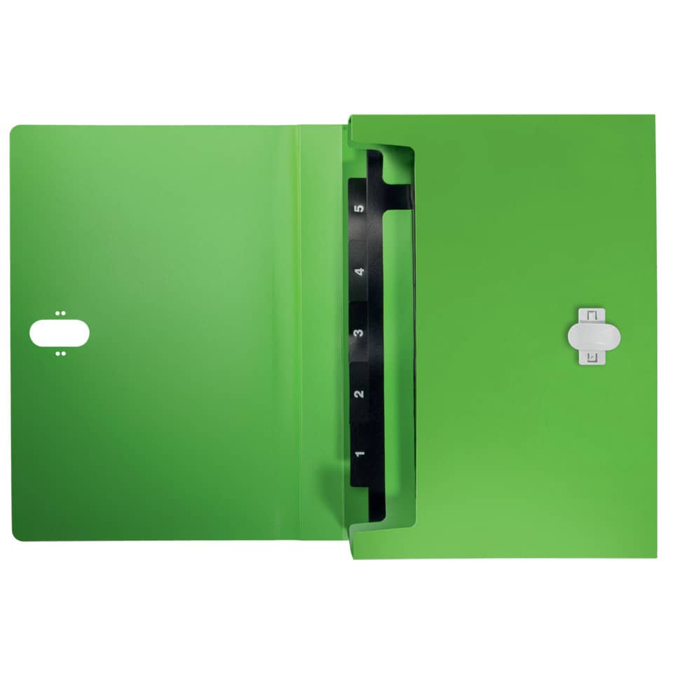 Projektmappe Recycle, A4, 5 Fächer, grün LEITZ 4624-00-55
