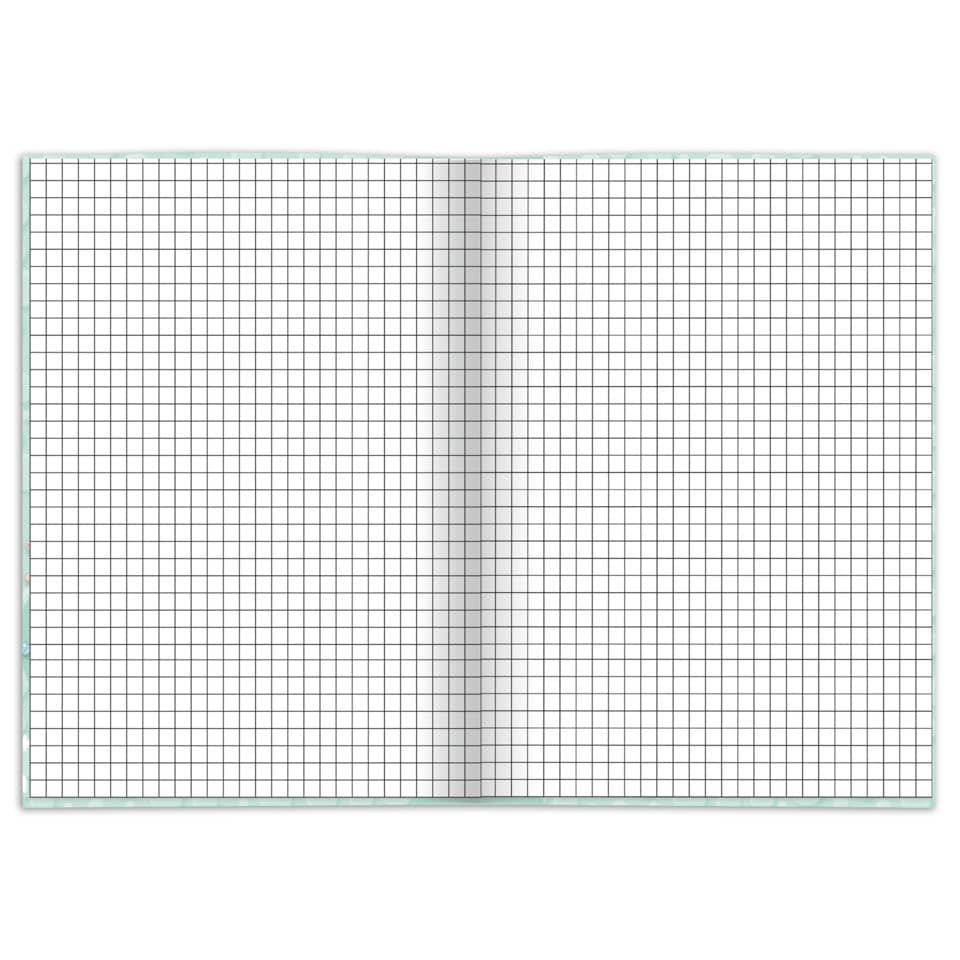 Notizbuch "Axolotl", A5, 96 Blatt, kariert RNK 46813