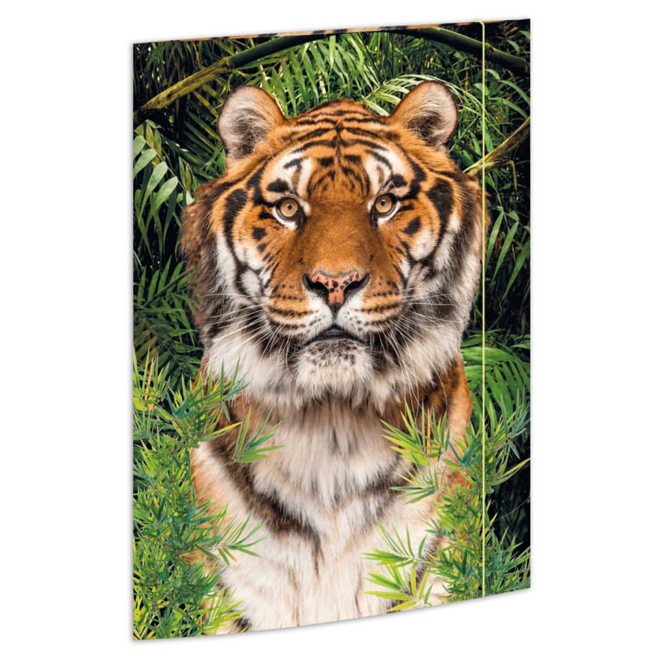 Zeichenmappe Tiger, 310 x 440mm, A3, Karton RNK 45367
