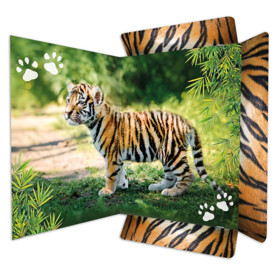 Zeichenmappe Tiger, 310 x 440mm, A3, Karton RNK 45367