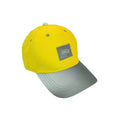 Baseballkappe ReflActions Roar ROTH 89318