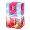 Tee frio Himbeer - Zitrone, 18 Beutel x 2,5 g TEEKANNE 4009300011767
