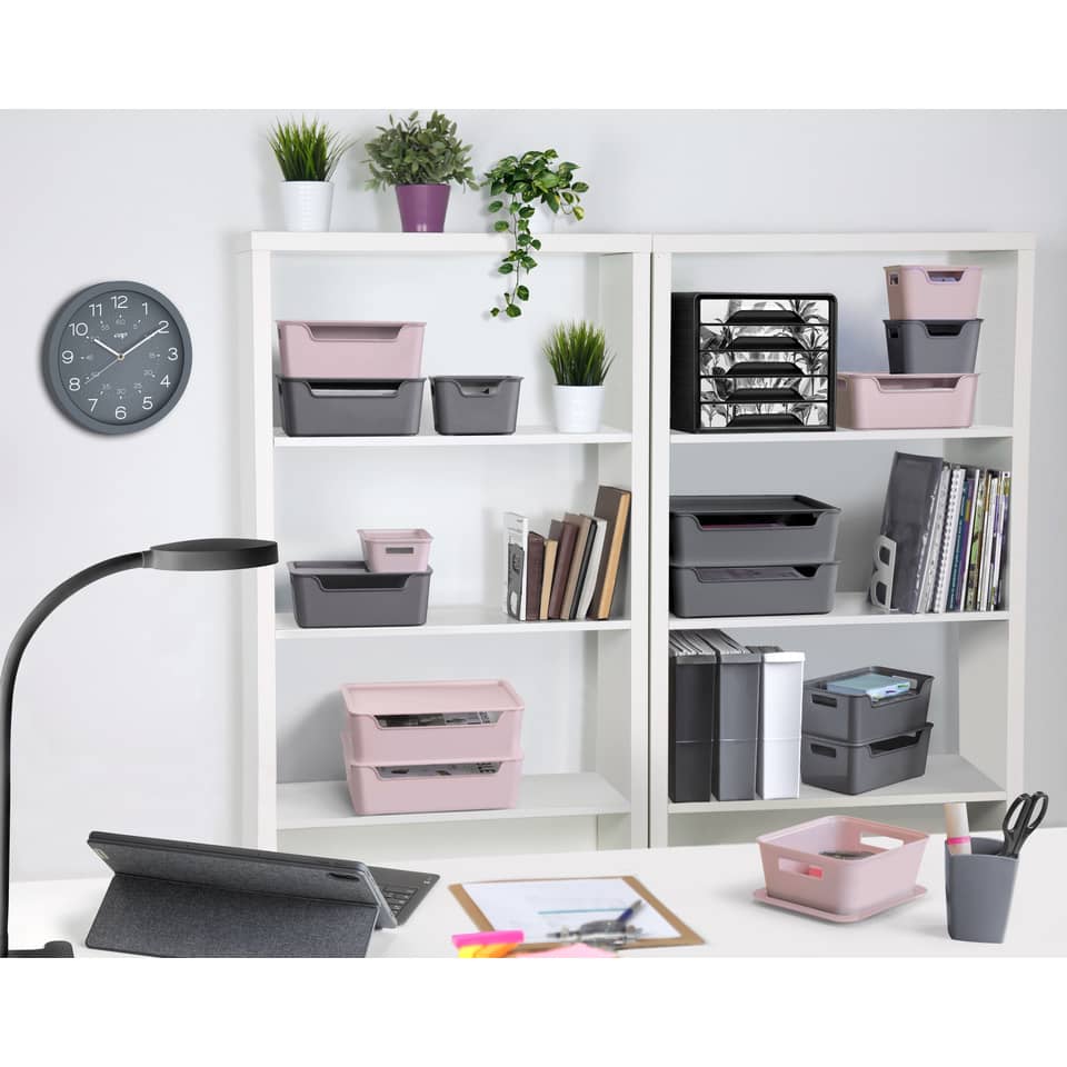 Ablagebox Bella mit Deckel, 1,18l, grau CEP 2345280061 CEP 2345280061 8534528M