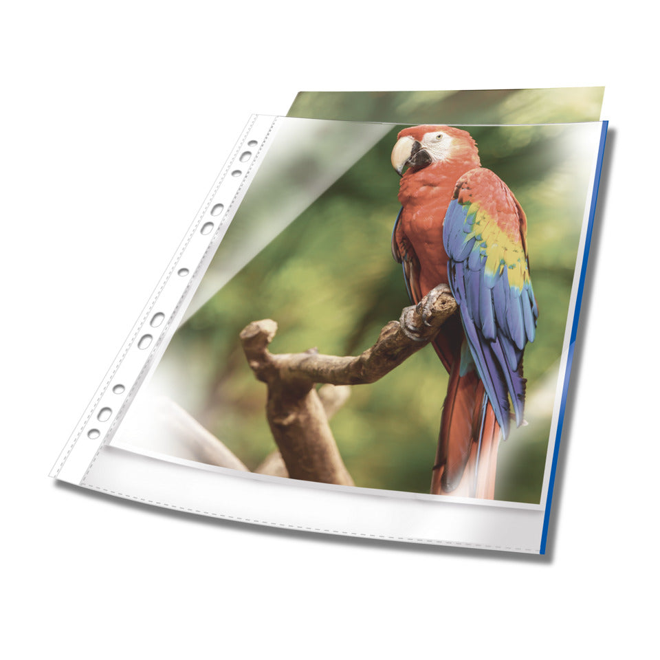 Prospekthülle PREMIUM, oben offen, A4, PP, 80 my, glasklar/blau, 10 Stück DURABLE 2654 06 DURABLE 2654 06 Premium