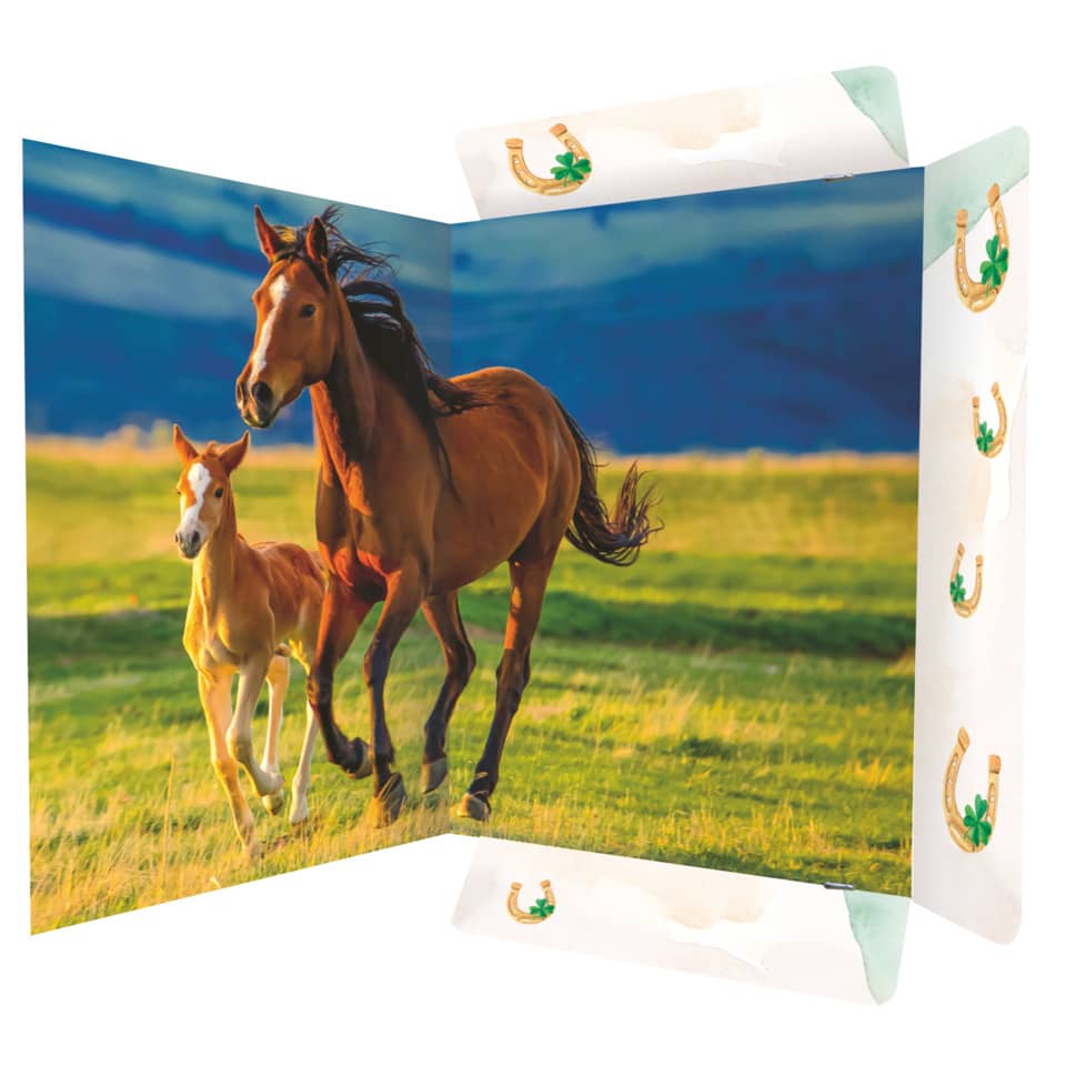 Zeichenmappe Free Horses, 310 x 440mm, A3, Karton RNK 45353 RNK 45353 310x440mm