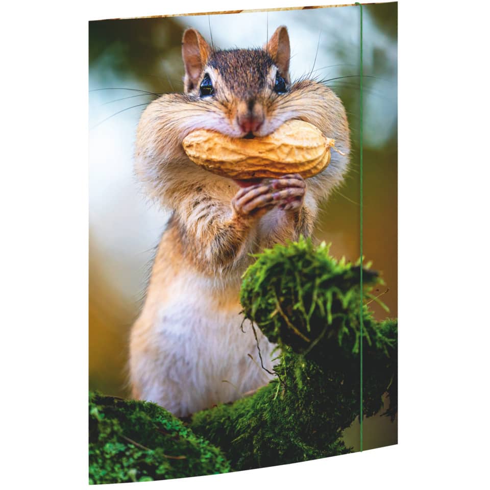 Zeichenmappe Chipmunk, 310 x 440mm, A3 RNK 45375