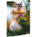 Zeichenmappe Chipmunk, 310 x 440mm, A3 RNK 45375