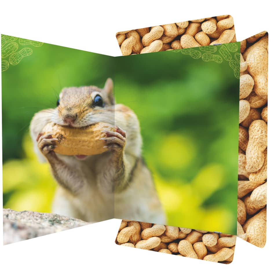 Zeichenmappe Chipmunk, 310 x 440mm, A3 RNK 45375