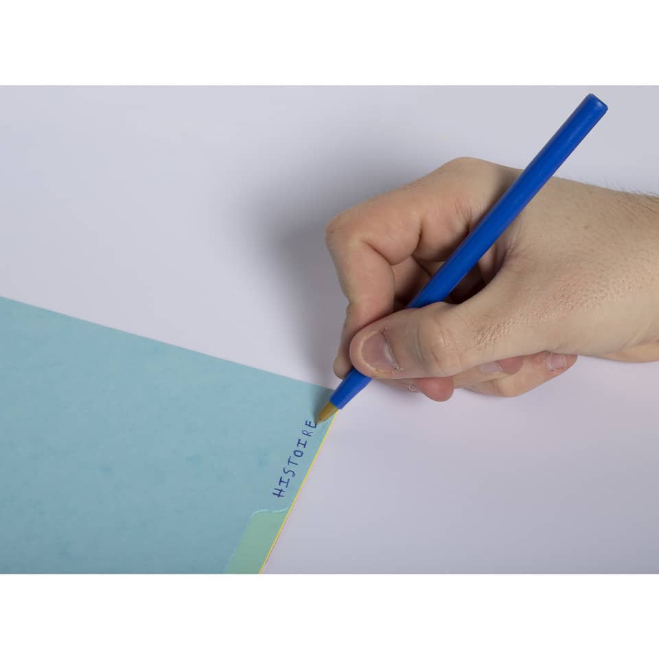 Ordnerregister, A4, 12-teilig, sortiert EXACOMPTA 7712E