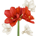 Weihnachts-Zelltuchserviette, Blüte Rot, 33 x 33 cm, 3-lagig, 20 Stück PAPER+DESIGN 207507 PAPER+DESIGN 207507  3lag