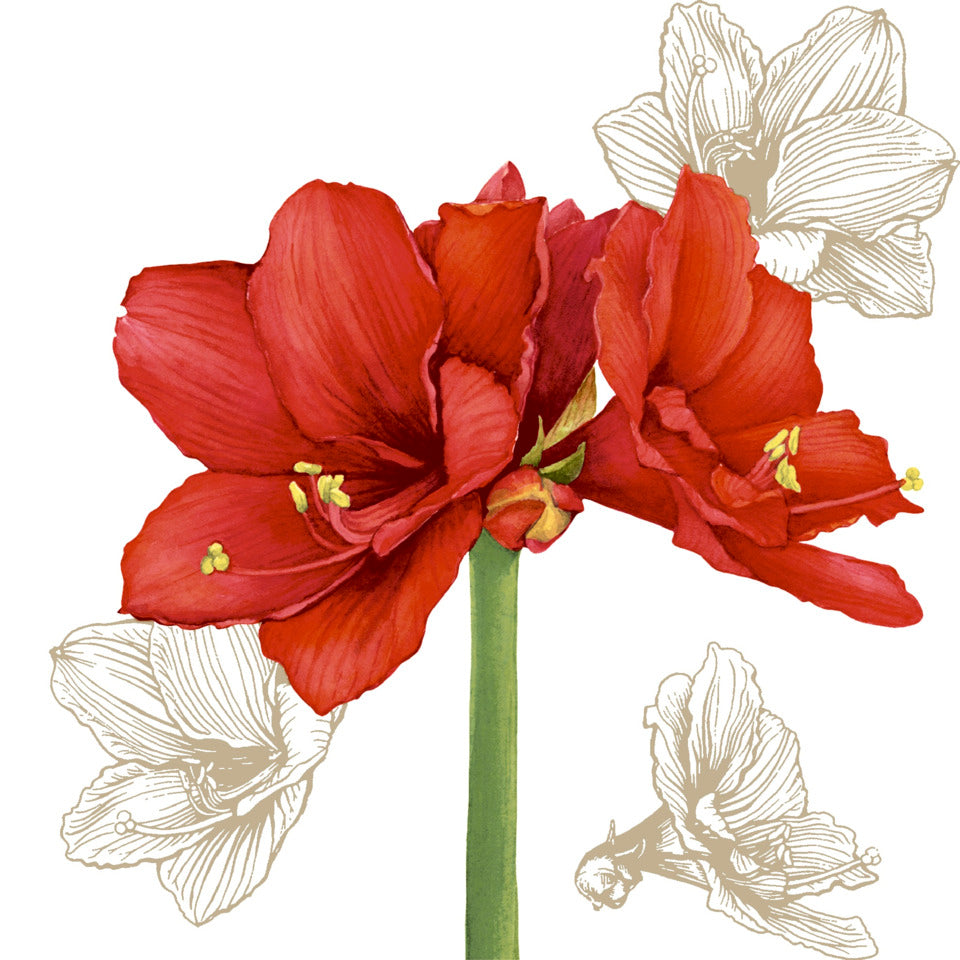 Weihnachts-Zelltuchserviette, Blüte Rot, 33 x 33 cm, 3-lagig, 20 Stück PAPER+DESIGN 207507 PAPER+DESIGN 207507  3lag