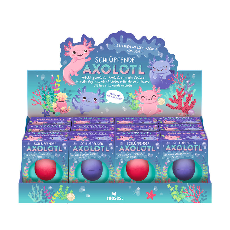 Zauberei Schlüpfender Axolotl, sortiert MOSES 38241 MOSES. 38241 i.Display