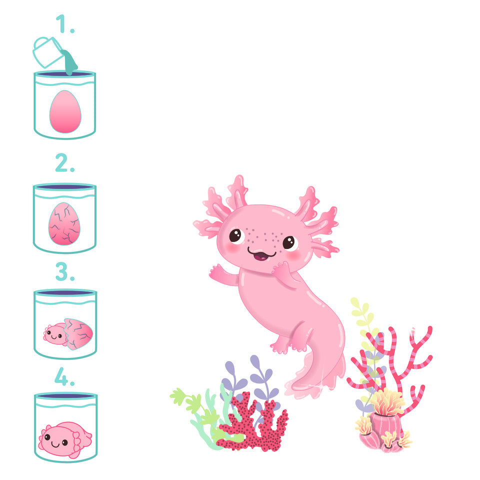 Zauberei Schlüpfender Axolotl, sortiert MOSES 38241 MOSES. 38241 i.Display