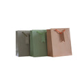 Geschenktragetasche uni pastell, 23 x 18 x 8 cm, sortiert PBS 55015 PBS 55015 23x18x10cm
