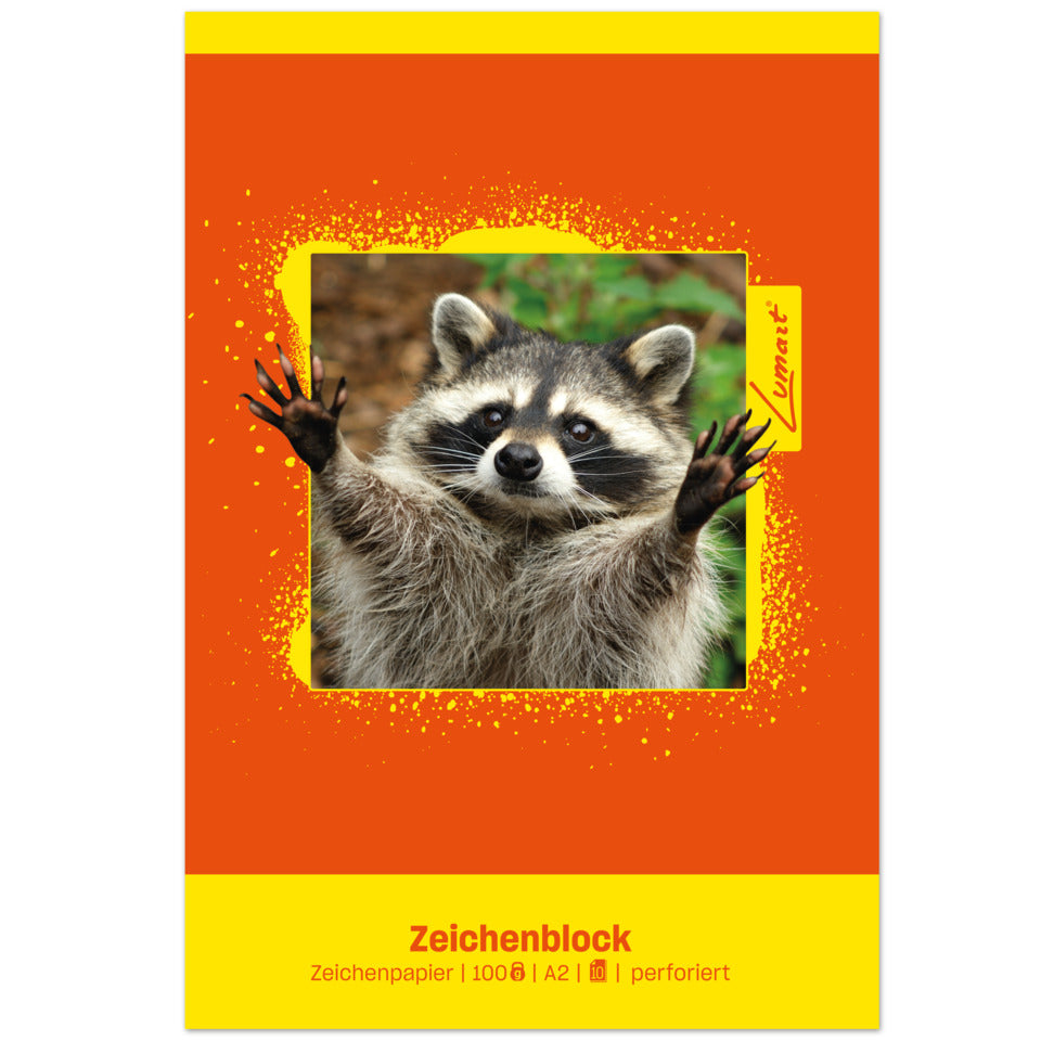 Zeichenblock, A2, 100g/m², 10 Blatt EDITION DÜRER 040210000