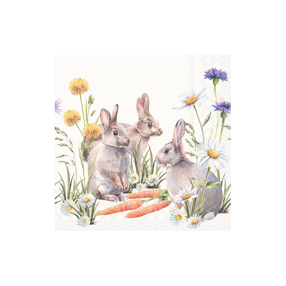 Motivserviette Karotte, 33 x 33 cm, 3-lagig, 20 Stück AMBIENTE 23318250 AMBIENTE 23318250 20ST