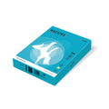 Kopierpapier Color Intensiv, A4, 160g/m², 250 Blatt, wasserblau MAESTRO COLOR 9417-AB48A16S MAESTRO COLOR  9417-AB48A16S