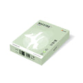 Kopierpapier Color Pastell, A4, 80g/m², 500 Blatt, grün MAESTRO COLOR 9417-GN27A80S