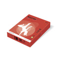 Kopierpapier Color Intensiv, A4, 80g/m², 500 Blatt, korallenrot MAESTRO COLOR 9417-CO44A80S