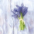 Motivserviette, Muscari-Bündel, 33 x 33 cm, 3-lagig, 20 Stück PAPER+DESIGN 208815 PAPER+DESIGN 208815  3lag
