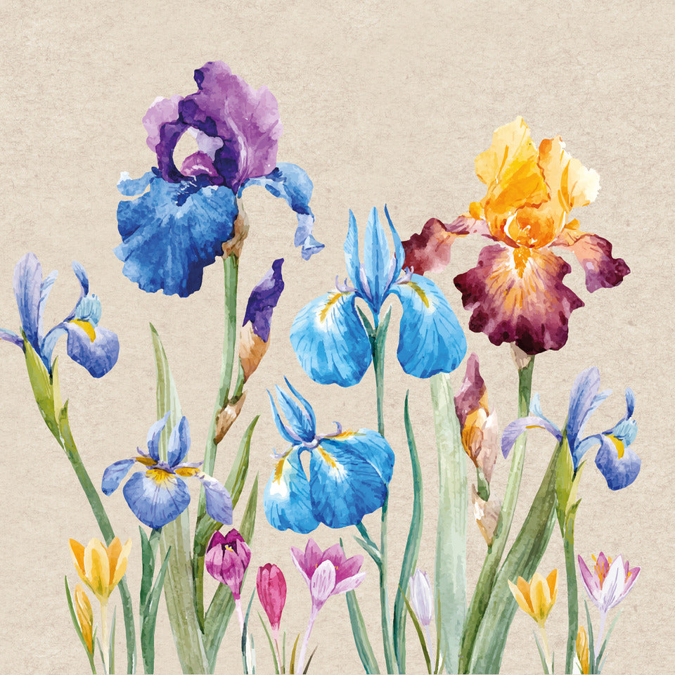 Motivserviette, Iris - 100% Recycling, 33 x 33 cm, 2-lagig, 20 Stück PAPER+DESIGN 209995 PAPER+DESIGN 209995  2lag