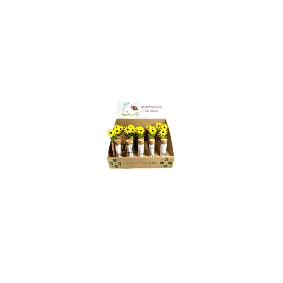 Geldgeschenkglas mit Blume, sortiert  9780A