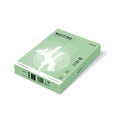 Kopierpapier Color Pastell, A4, 160g/m², 250 Blatt, mittelgrün MAESTRO COLOR 9417-MG28A16S