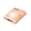 Kopierpapier Color Pastell, A4, 160g/m², 250 Blatt, lachs MAESTRO COLOR 9417-SA24A16S