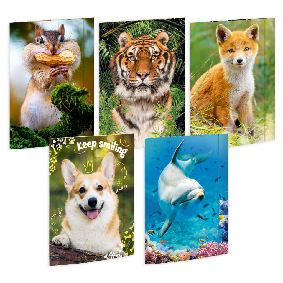 Gummizugmappe Tiere, A3, 14+1 Gratis, sortiert RNK 45030 RNK 45030 14+1ST gratis