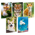Gummizugmappe Tiere, A3, 14+1 Gratis, sortiert RNK 45030 RNK 45030 14+1ST gratis