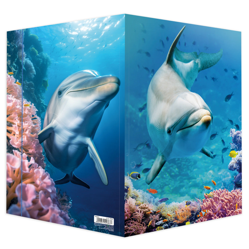 Gummizugmappe Dolphin, 320 x 430 cm, A3 RNK 45383 RNK 45383 320x430mm