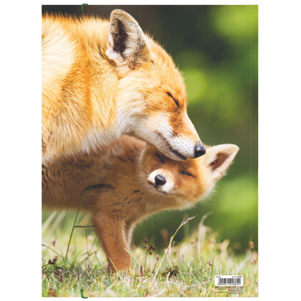 Zeichenmappe Fuchs, 320 x 430 cm, A3 RNK 45384 RNK 45384 320x430mm