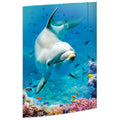 Gummizugmappe Dolphin, 320 x 430 cm, A3 RNK 45383 RNK 45383 320x430mm