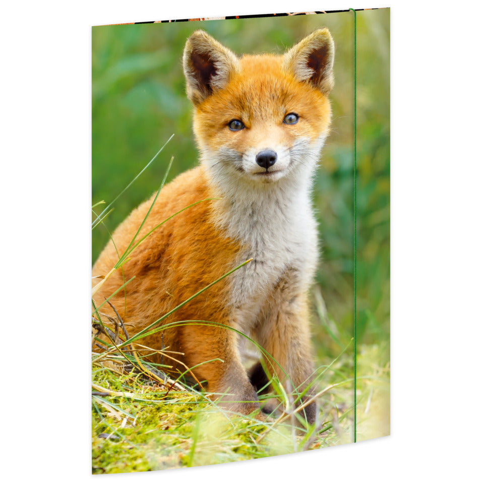 Zeichenmappe Fuchs, 320 x 430 cm, A3 RNK 45384 RNK 45384 320x430mm